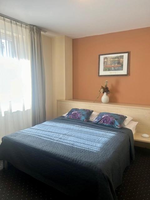 Hotel Pacific Τιμισοάρα Εξωτερικό φωτογραφία