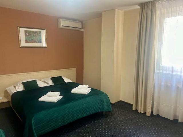 Hotel Pacific Τιμισοάρα Εξωτερικό φωτογραφία